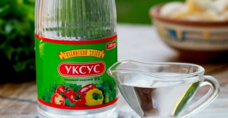 Борьба с плесенью с помощью уксуса